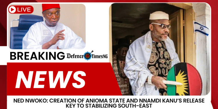 Ned Nwoko: Creation of Anioma State and Nnamdi Kanu’s Release Key to Stabilizing South-East