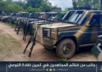 FACT CHECK: Viral Video Claiming ISWAP Has Entered Kogi State Is Not From Nigeria